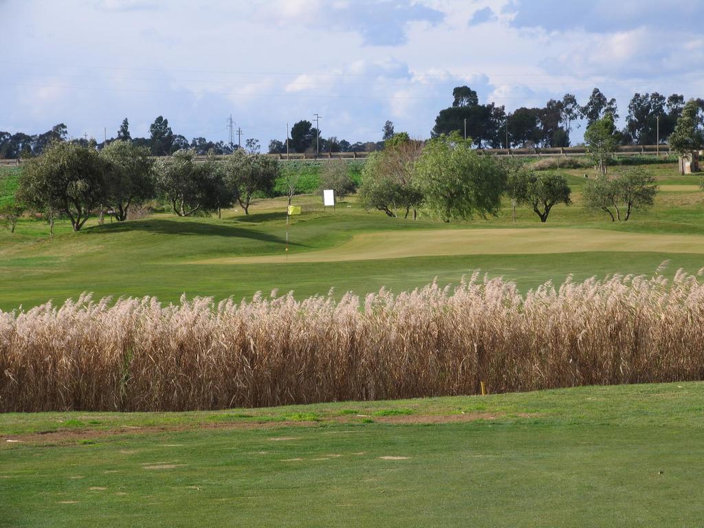 Golf Club Metapontoゲストハウス エクステリア 写真